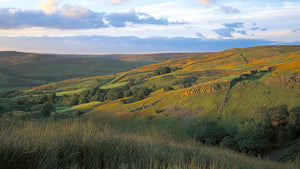 Explore the Best Autumn Views in North Yorkshire