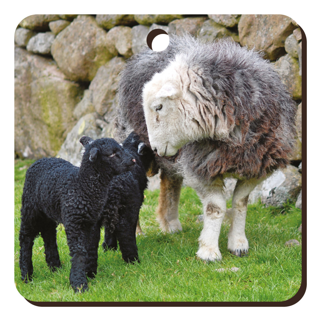 Herdwick Family Wooden Keyring | Great Stuff from Cardtoons